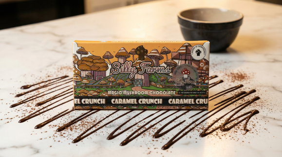 How to make mushroom chocolate