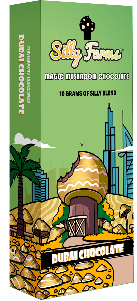 Dubai Chocolate