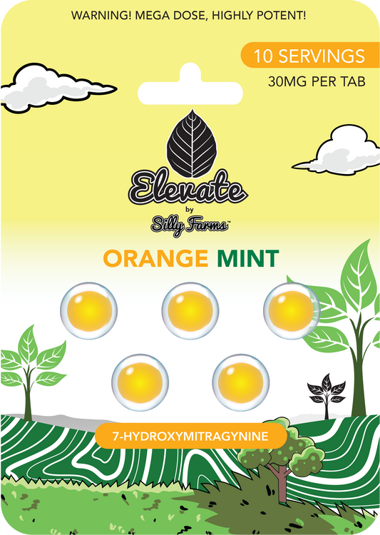 Elevate: Orange Mint